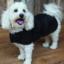 Outback Trading Co (NZ) Clancy Oilskin Dog Coat